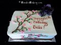 Birthday Cake-Toys 108